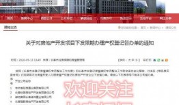 长春爆料官方公告最新版,详尽解读与最新动态一览