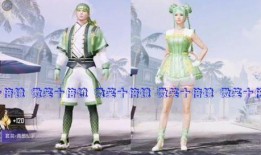 最新荣耀勋章军需爆料,神秘装备即将亮相，战力升级一触即发！