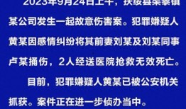 扶绥新闻爆料网最新公告,揭秘重大事件详情与最新动态