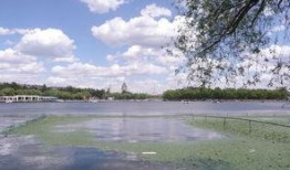 长春南湖公园最新爆料,绿色休闲新地标亮相