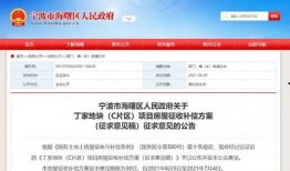 宁波新公司最新爆料消息,揭秘创新项目与未来发展规划