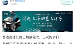 后营最新爆料,最新爆料背后的惊人真相