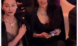 娱乐圈八卦爆料最新绯闻视频,最新绯闻视频引发热议，真相究竟如何？