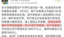 成都欠钱爆料案件最新进展,追讨之路再掀波澜