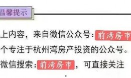 宁波新公司最新爆料消息,揭秘创新项目与未来发展规划