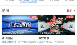 雷州直播爆料最新消息,最新消息速览，揭秘背后真相！