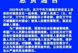 海南万宁爆料事件视频最新,视频揭露惊人真相，网友热议不断