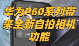 p60最新爆料