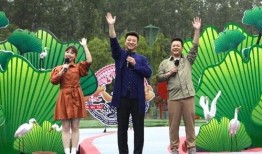 新乡都市爆料新闻最新视频,视频揭秘惊人真相！