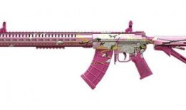 和平精英新皮肤m4最新爆料,神秘爆料抢先看！