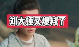 刘大锤最新爆料图片,最新图片揭秘幕后真相