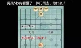 象棋刘笑最新爆料,象棋界最新爆料，揭秘神秘棋局背后的真相