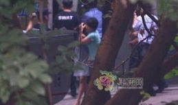对峙2最新爆料刀,刀系英雄全新技能曝光，战局再起风云涌动
