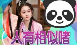 新瓜最新爆料搞笑版,笑料百出，娱乐圈搞笑版大揭秘！