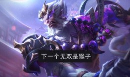 王者无双皮肤最新爆料,神秘英雄华丽蜕变，视觉盛宴即将开启！