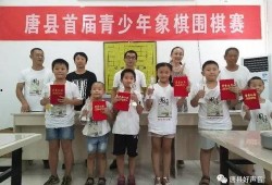 象棋刘笑最新爆料,象棋界最新爆料，揭秘神秘棋局背后的真相