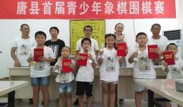象棋刘笑最新爆料,象棋界最新爆料，揭秘神秘棋局背后的真相