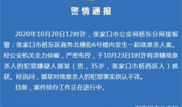 河北警察爆料案件最新,重大案件细节曝光，真相令人震惊！