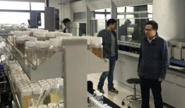 萧山检测站爆料事件最新,真相与争议交织的检测报告疑云