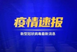 蓝厂最新系统爆料消息新闻,颠覆性升级，引领科技新潮流