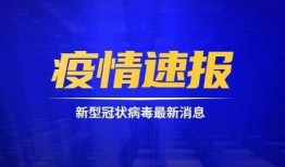 蓝厂最新系统爆料消息新闻,颠覆性升级，引领科技新潮流