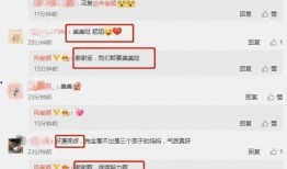 新瓜最新爆料搞笑版,笑料百出，娱乐圈搞笑版大揭秘！